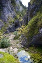 Kvacany - Prosiek valley - gorge with a pond and a ladder for adventure tourism