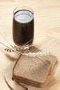 Kvass and rye bread Royalty Free Stock Photo