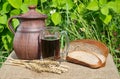 Kvass and rye ears Royalty Free Stock Photo