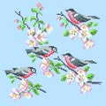 Vector illustration cross stitch spring birds