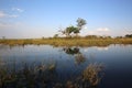 Kwando River Royalty Free Stock Photo