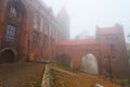 Kwidzyn castle and cathedral in foggy weather