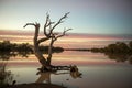 Kyabra creek in far outback Queensland.