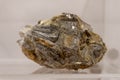 Kyanite golden collection stone on display selective focus