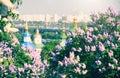 Kyiv city panoramic view with blooming lilac flowers and Orthodox churches on the banks of Dnipro River  Dnieper . Kiev in sprin Royalty Free Stock Photo