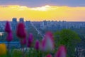 Kyiv city top view from park Slavy with tulips