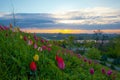 Kyiv city top view from park Slavy with tulips