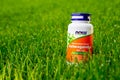 Kyiv, Ukraine - April 27, 2023: Ashwagandha root extract capsules from NOW Foods on green grass close-up. Dietary Supplement to