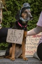 many caring people go to the city center every week to remind everyone that the soldiers from Azov