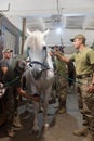 Session of hippotherapy for Ukrainian soldiers who were in combat zones in Kyiv, Ukraine Royalty Free Stock Photo