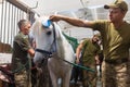 Session of hippotherapy for Ukrainian soldiers who were in combat zones in Kyiv, Ukraine