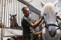 Session of hippotherapy for Ukrainian soldiers who were in combat zones in Kyiv, Ukraine