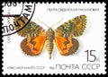 Kyiv. Ukraine. August 17, 2025. USSR postage stamp with the image of a butterfly Royalty Free Stock Photo