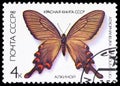 Kyiv. Ukraine. August 17, 2025. USSR postage stamp with the image of a butterfly Royalty Free Stock Photo