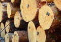 Licensed legal timber, logs with tags or barcodes to track timber wholesale or wood retail