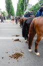 Kyiv, Ukraine - June 23, 2019. March of equality. LGBT march KyivPride. Gay parade. Mounted police on the march