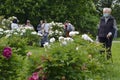 An elderly woman in a mask and with a walking stick enjoys peony flowers in the botanical garden.