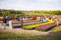 Kyiv, Ukraine - May 14, 2021: People walk in a beautiful, beautiful field with tulips