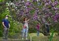 A woman and a man take pictures of lilac bushes.