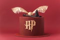 Harry Potter cake on the burgundy red background. Birthday magic cake with red velvet chocolate Royalty Free Stock Photo