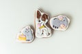 Cartoon cat Pusheen and dog named Carm. Cat and dog shaped gingerbread cookies on white background. Royalty Free Stock Photo