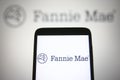 Fannie Mae logo