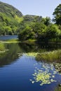 Kylemore Abbey & Victorian Walled Garden in county Galway Royalty Free Stock Photo