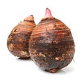 Kyo Imo Japanese Taro Root Cause Royalty Free Stock Photo