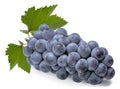 Kyoho Grape isolated on white background with clipping path. Black Wine grape isolated on white. Royalty Free Stock Photo