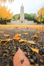 Kyoikuto and ginkgo trees with beautiful yellow leaves in Osaka Castle Park,Japan