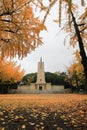 Kyoikuto and ginkgo trees with beautiful yellow leaves in Osaka Castle Park,Japan.Non English texts mean Kyoikuto.