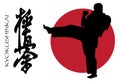 Kyokushinkai Royalty Free Stock Photo