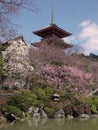 Kyomizudera-early spring Royalty Free Stock Photo