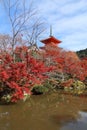 Kyoto autumn Royalty Free Stock Photo