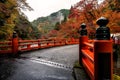 Kyoto autumn season Royalty Free Stock Photo