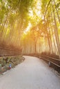 Kyoto bamboo forest and walked way Japan