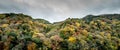 Kyoto foliage in Autumn Koyo Royalty Free Stock Photo