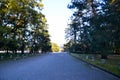 Kyoto Gyoen Garden and Mt. Daimonji in the Evening, Kyoto Royalty Free Stock Photo