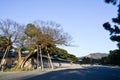 Kyoto Gyoen Garden and Mt. Daimonji in the Evening, Kyoto Royalty Free Stock Photo