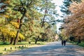 Kyoto Gyoen National Garden at spring in Japan Royalty Free Stock Photo