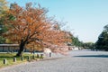 Kyoto Gyoen National Garden at spring in Japan Royalty Free Stock Photo