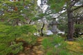 Kyoto Imperial Palace (Kyoto Gyoen National Garden) former Imperial family residence