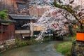 Kyoto, Japan along Shirakawa Dori Street in the Spring