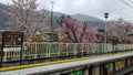 Kyoto, Japan in April 2019. Arashiyama station with drizzly weather conditions and still in spring. Cherry blossom trees Royalty Free Stock Photo