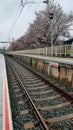 Kyoto, Japan in April 2019. Arashiyama station with drizzly weather conditions and still in spring. Cherry blossom trees Royalty Free Stock Photo