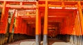 Double Fushimi Inari Royalty Free Stock Photo