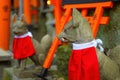 Fushimi Inari-taisha built in 1499, it\'s the icon of a path lined with thousands of torii gate with