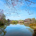 Heian Jingu Garden is a garden with a variety of plants, ponds and buildings and weeping cherry trees Royalty Free Stock Photo