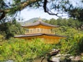 Kyoto, Japan - April 13, 2018 : kinkakuji temple outfocus in foreground