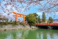 The Great Torii Gate of Heian Jingu Shrine in Kyoto, Japan during full bloom cherry blossom season Royalty Free Stock Photo